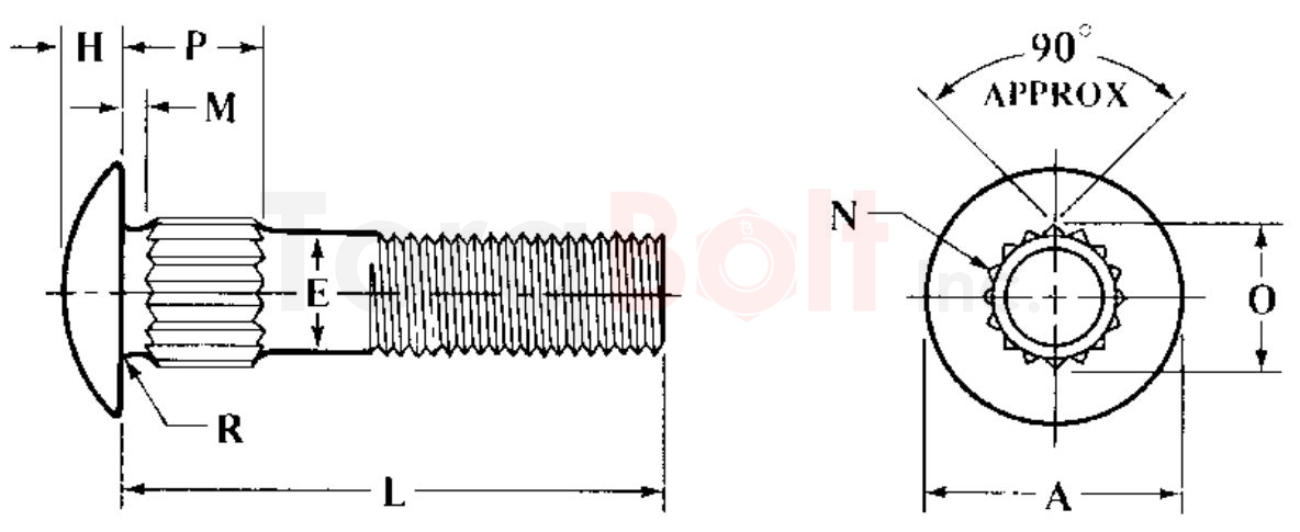 ASME B18.5 Round Head Ribbed Neck Bolts