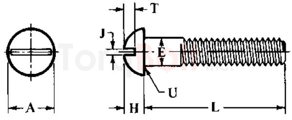 ASME B18.6.2 Slotted Round Head Cap Screws