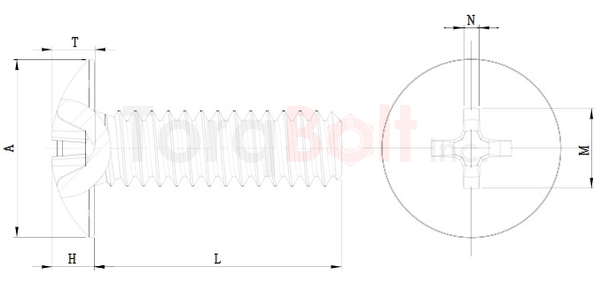 ASME B18.6.3 Phillips Mushroom Machine Screws