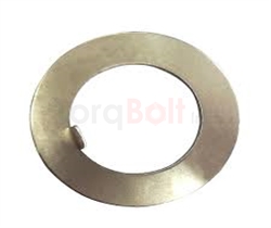 DIN 462 Internal Tab Washers