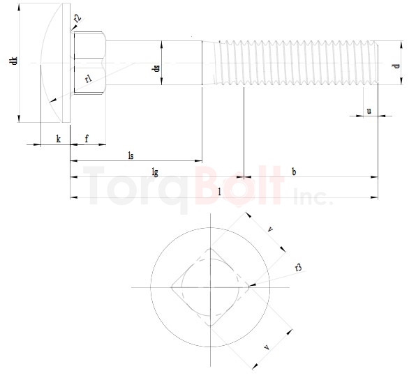 DIN 603 Carriage Bolts