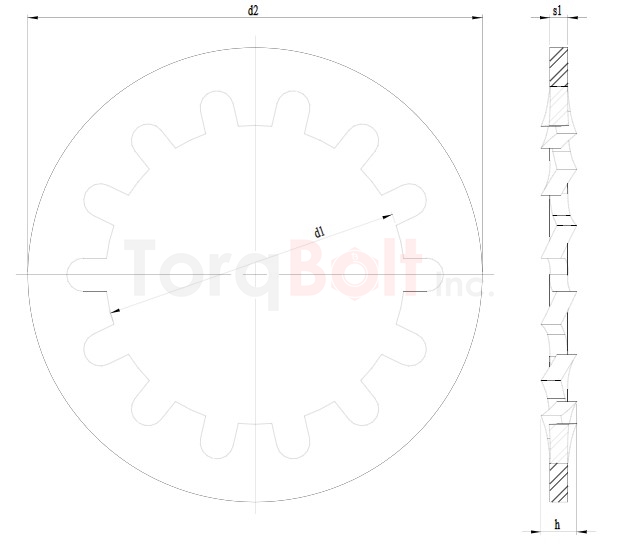 DIN 6797J Internal Tooth Washers