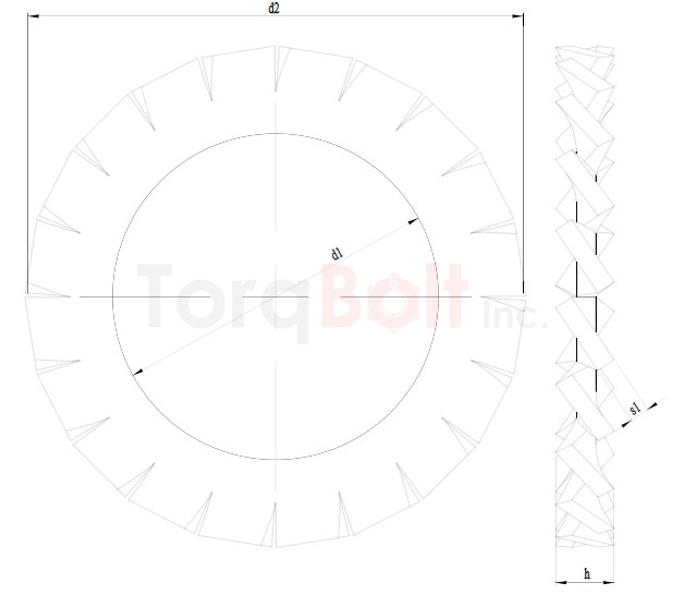 DIN 6798A External Tooth Washers