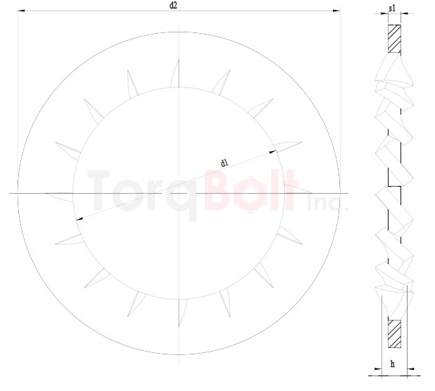 DIN 6798J Internal Tooth Washers