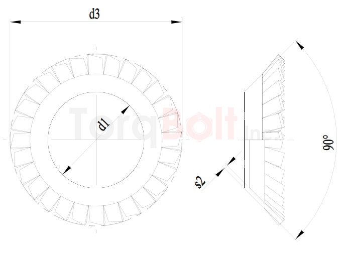 DIN 6798V Countersunk External Tooth Washers