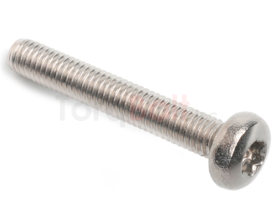 DIN 7500C Hexalobular Pan Thread Rolling Screws