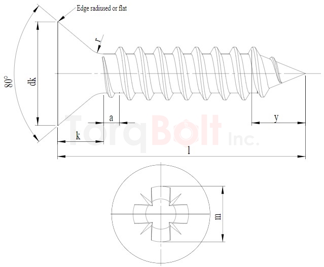 DIN 7982CZ Pozi Countersunk AB Self Tapping Screws