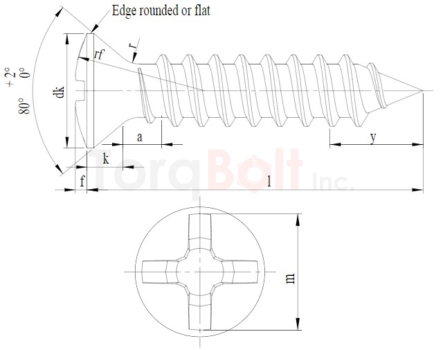 DIN 7983CH Phillips Raised Countersunk AB Self Tapping Screws