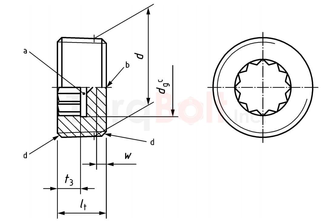 Pipe Plug With 12 Point Socket