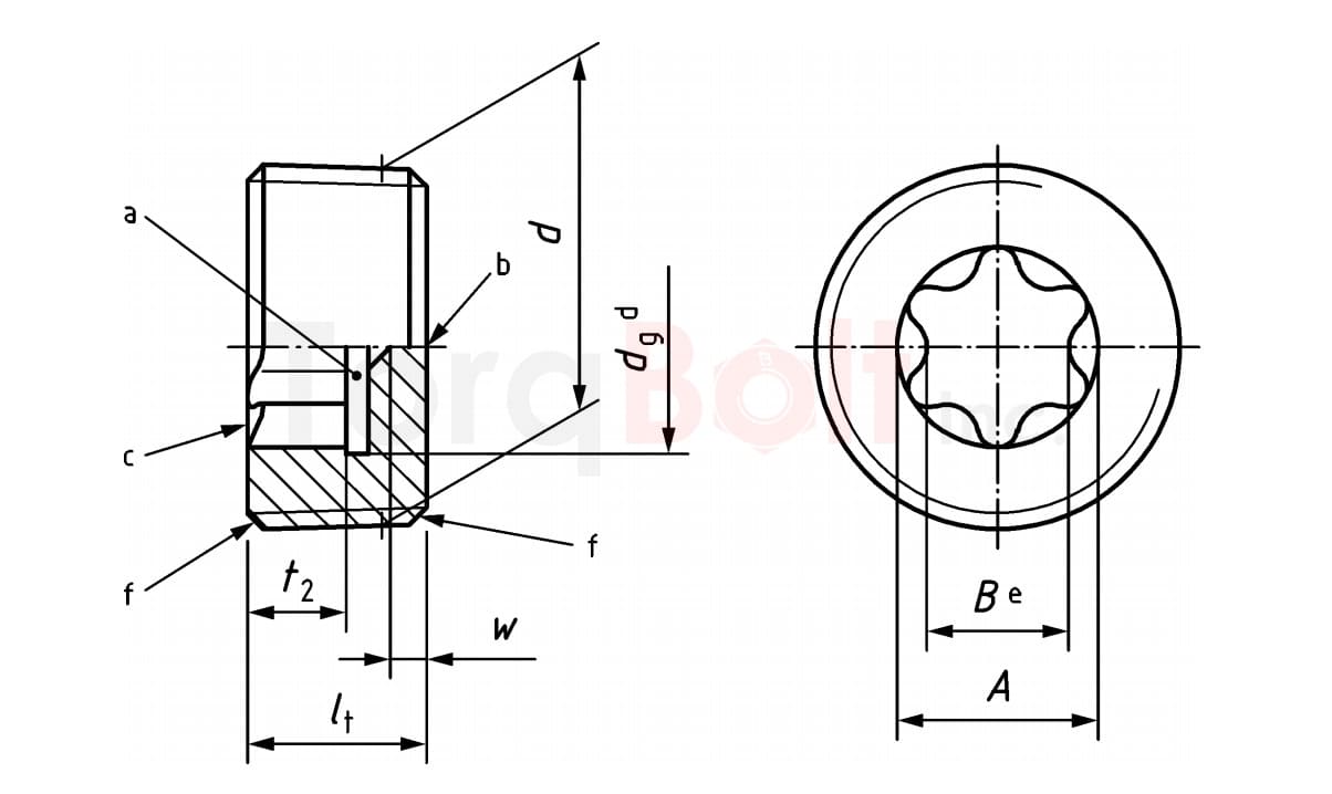 Pipe Plug With Hexalobular Socket