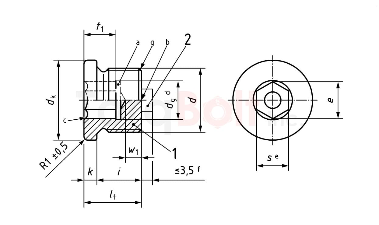 Hexagon socket screw plug (ISK)