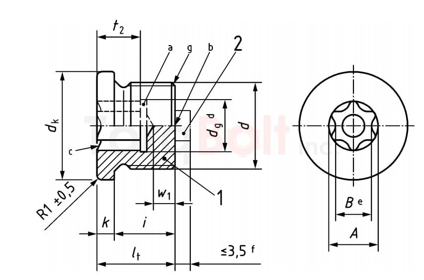 Screw plug with Hexalobular socket (ISR) as in DIN EN ISO 10664