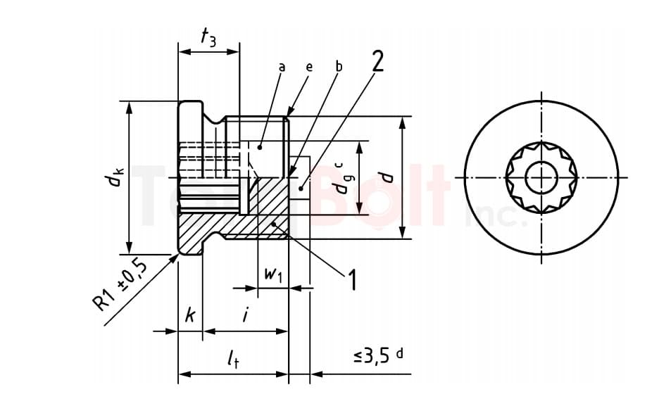 Screw plug with 12 point socket (IVZ) as in DIN 34824