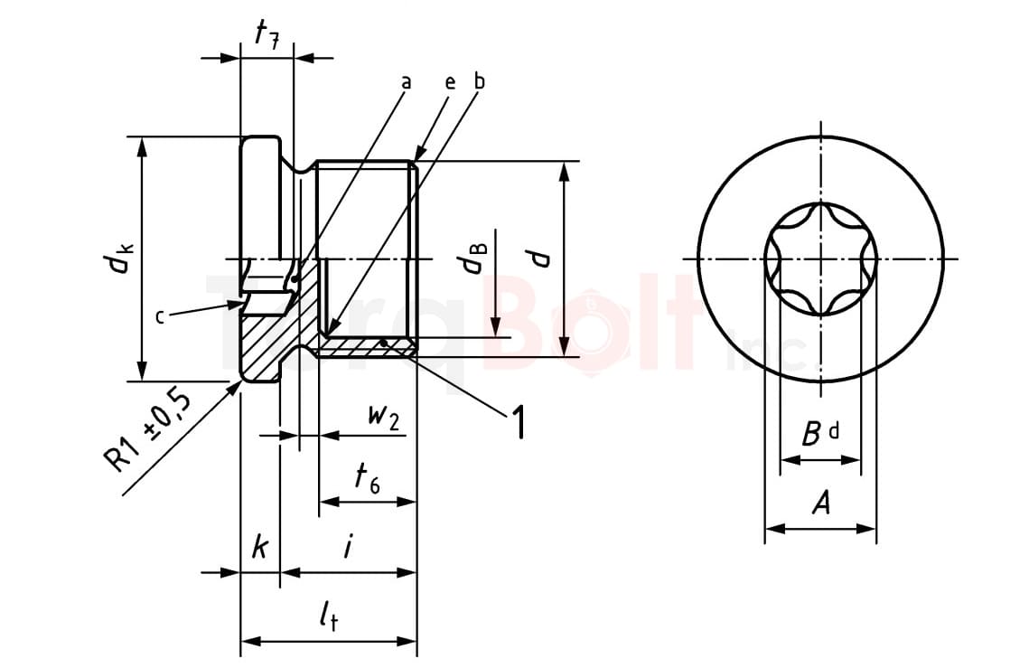 Screw plug with Hexalobular socket (ISR) as in DIN EN ISO 10664, type L (light-duty)