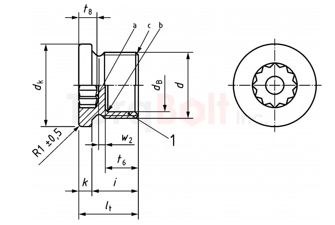 Screw plug with 12 point socket (IVZ) as in DIN 34824