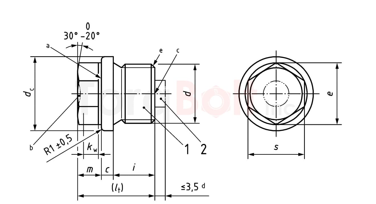 Screw plug dimensions (Standard type)