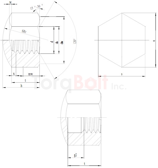 DIN 917 Hexagon Cap Nuts