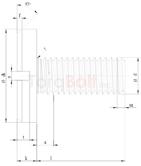 DIN 921 Large Head Slot Pan Machine Screws