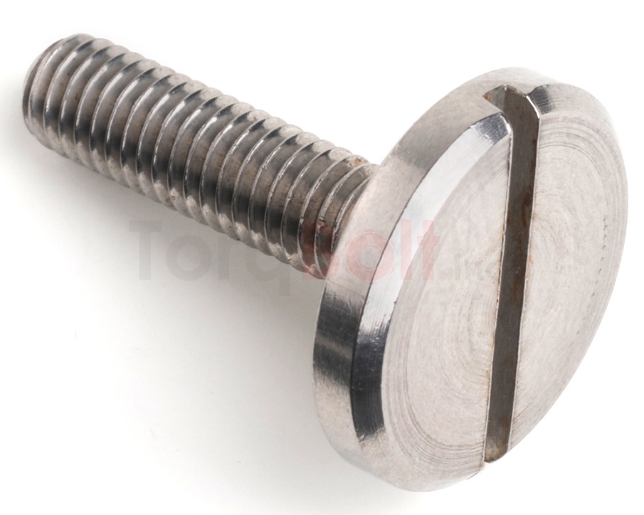 DIN 921 Large Head Slot Pan Machine Screws