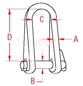 Long D Shackle w/ Key Pin