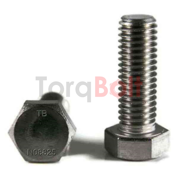 Incoloy 825 Fasteners Manufacturer & Supplier India