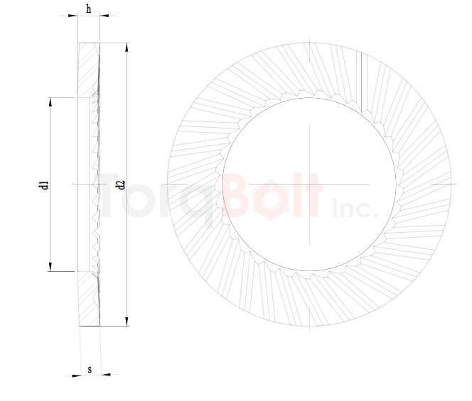 Locking Washer S Type