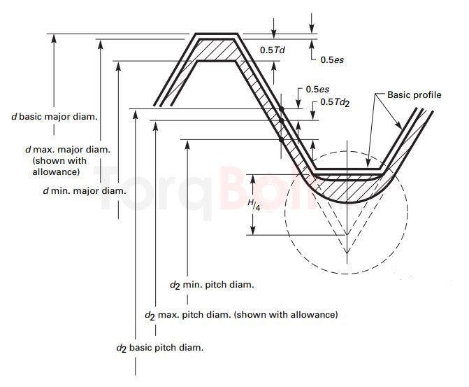 Metric Coarse Thread 2