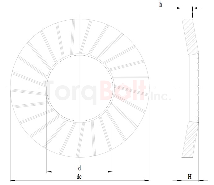 NFE 25-511-M Afnor Serrated Conical Spring Washer