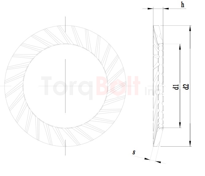 Schnorr Locking Washer S Type