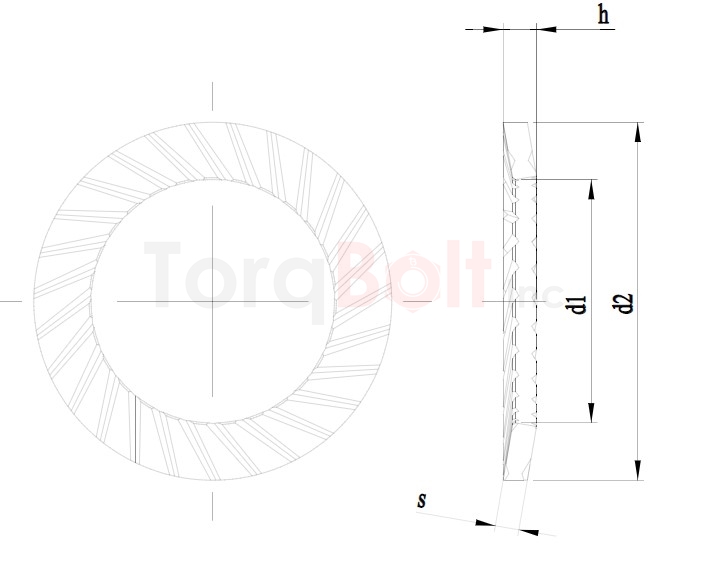 Schnorr Locking Washer Vs Type